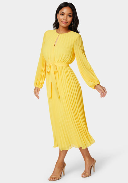 Pleated Gown With Long Sleeves